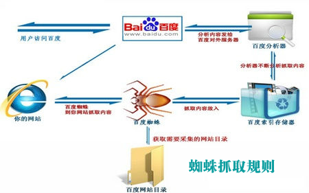 百度蜘蛛抓取,百度收錄規則